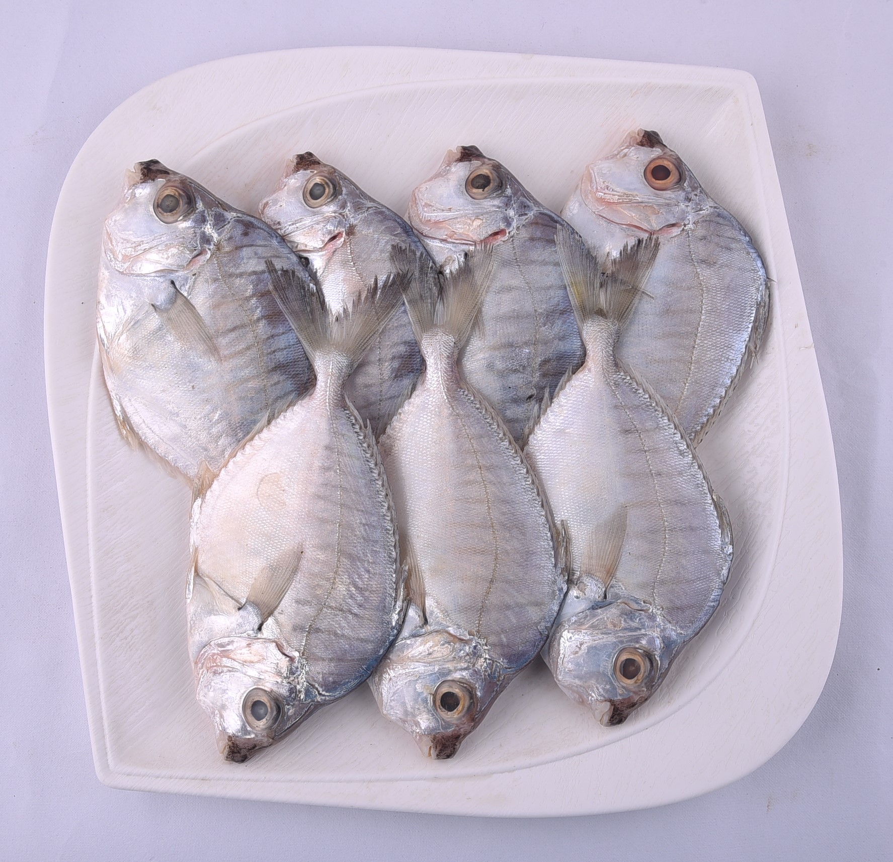 Silver Belly / Mullan / Pony Fish – 500g – Chef & Butcher – Kadugodi Outlet