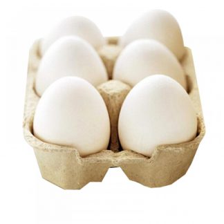 Chicken White Egg - Pack of 6